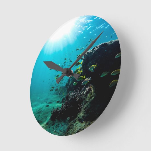 Sunshine and Tropical Fish Ronde Klok (Hoek)