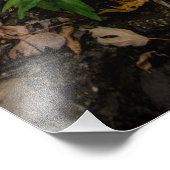 Sunshine Breach Over The Pond Foto Afdruk (Hoek)