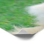 Sunshine Breeze Happy Cat Haiku Poster (Hoek)