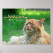 Sunshine Breeze Happy Cat Haiku Poster (Voorkant)