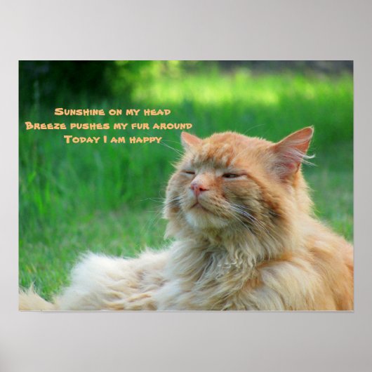 Sunshine Breeze Happy Cat Haiku Poster (Voorkant)