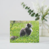 Sunshine Cat Briefkaart (Staand voorkant)