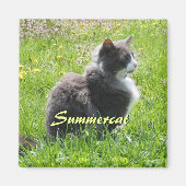 Sunshine Cat Magnet (Voorkant)