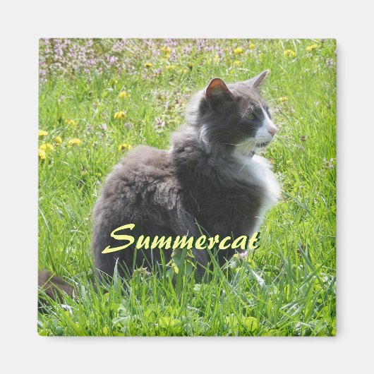 Sunshine Cat Magnet (Voorkant)