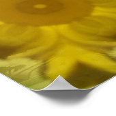 Sunshine Flower Burst Golden Poster (Hoek)