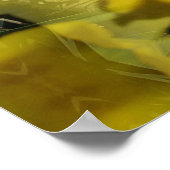 Sunshine Flower Burst Golden Poster (Hoek)