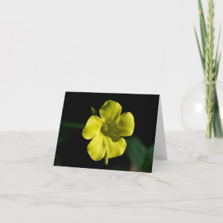 Sunshine Flower Kaart