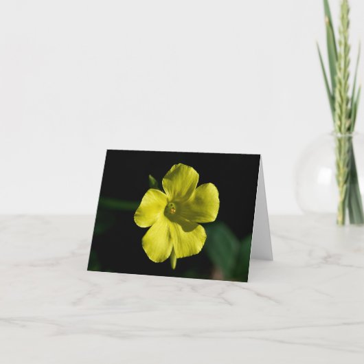 Sunshine Flower Kaart (Voorkant)