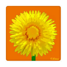 "Sunshine Flower" Onderzetter Set ontwerp.