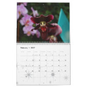 Sunshine, Happiness and Love for 2008 Kalender (Feb 2027)