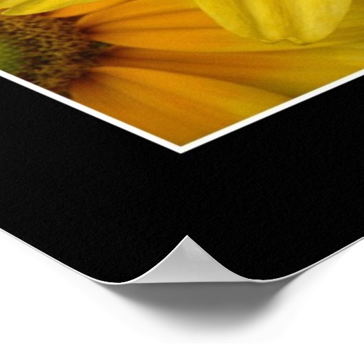 Sunshine II Poster (Hoek)