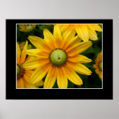 Sunshine II Poster (Voorkant)