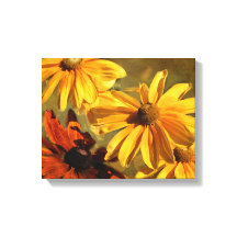 Sunshine in mijn Garden Canvas Print