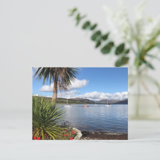 Sunshine in Schotland. Baai met palmbomen en jacht Briefkaart (Staand voorkant)