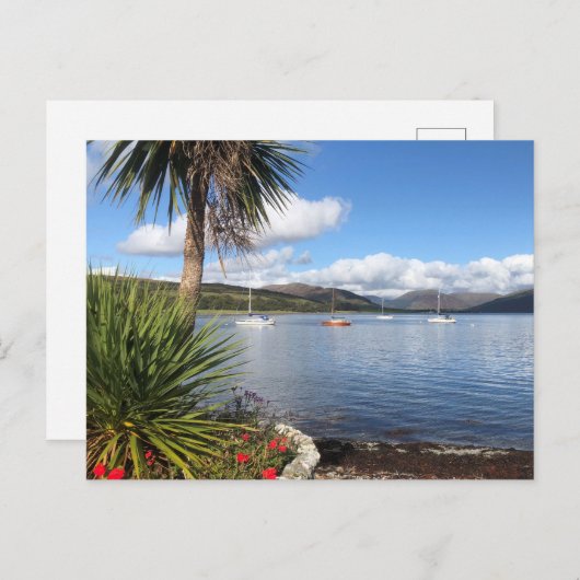 Sunshine in Schotland. Baai met palmbomen en jacht Briefkaart (Voorkant / Achterkant)