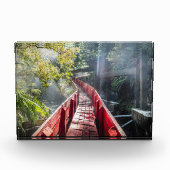 Sunshine in Termas Geometricas, Conaripe, Chil Fotoblokken (Voorkant)