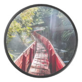 Sunshine in Termas Geometricas, Conaripe, Chil Hockey Puck (Voorkant)