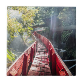 Sunshine in Termas Geometricas, Conaripe, Chil Tegeltje