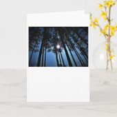 Sunshine, kaart (Gele Bloem)