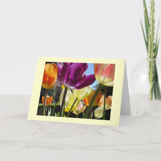 Sunshine Kaart (Voorkant)