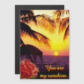 Sunshine Love (Voorkant / Achterkant)