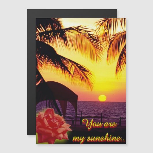 Sunshine Love (Voorkant / Achterkant)