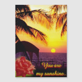 Sunshine Love (Voorkant)