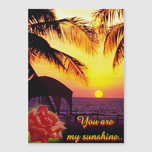 Sunshine Love (Voorkant)