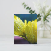 Sunshine na de foto van de regen briefkaart (Staand voorkant)