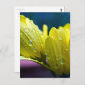 Sunshine na de foto van de regen briefkaart (Voorkant / Achterkant)