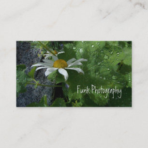 Sunshine na regen visitekaartje