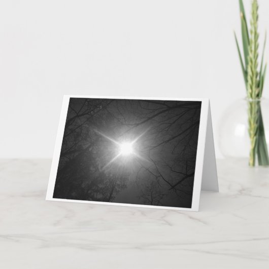 Sunshine - Noir, kaart (Voorkant)