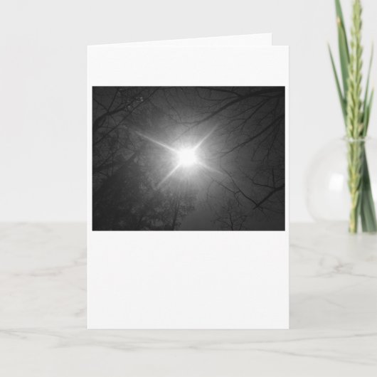 Sunshine - Noir, kaart (Voorkant)