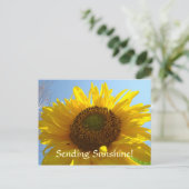 SUNSHINE Post Kaart Sun Flower Briefkaarten Feestd (Staand voorkant)