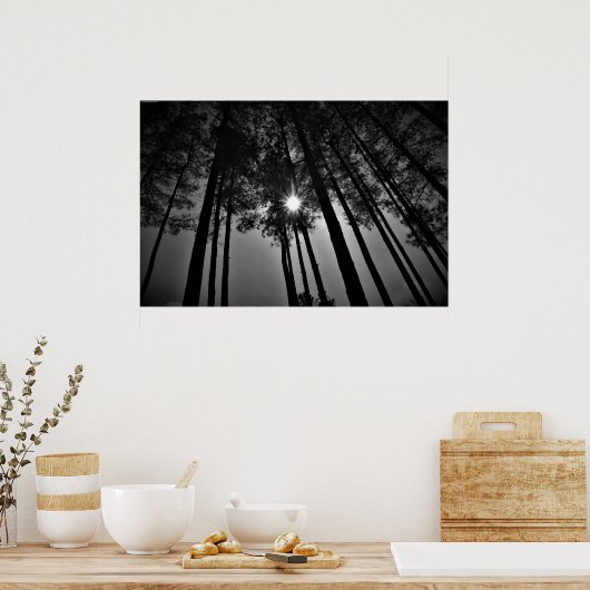 Sunshine, Poster (Keuken)