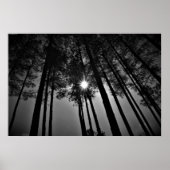 Sunshine, Poster (Voorkant)