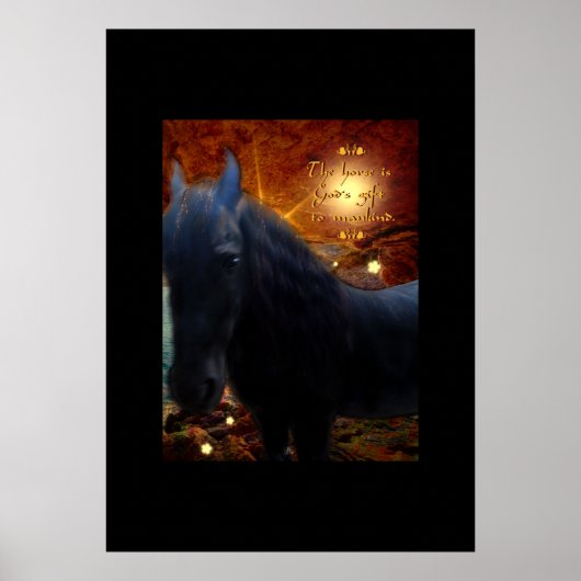 Sunshine - Poster (Voorkant)