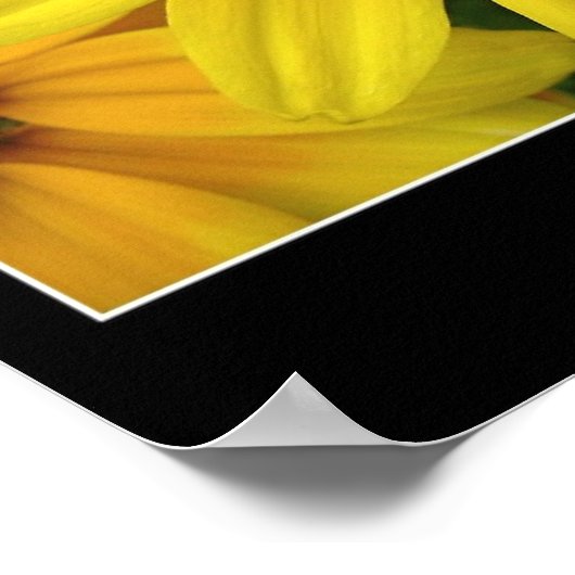 Sunshine Poster (Hoek)