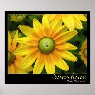 Sunshine Poster
