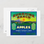 Sunshine Ranch Apple Label - Wapato, WA Briefkaart (Voorkant / Achterkant)