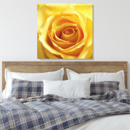 Sunshine Roos Stretted Canvas Print