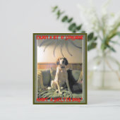 Sunshine Shelter Dog Briefkaart (Staand voorkant)