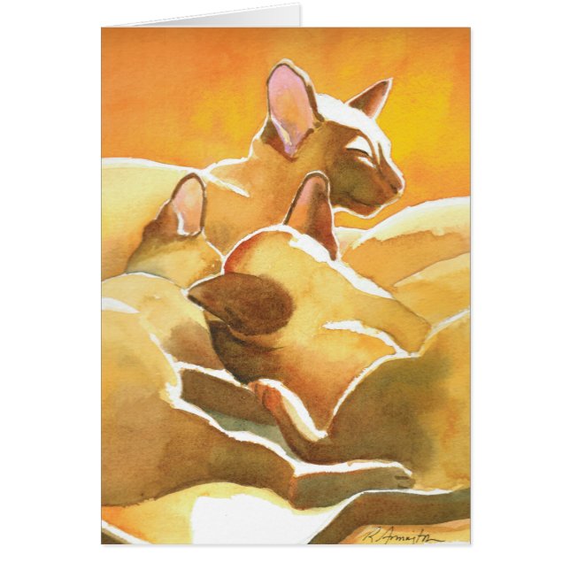 Sunshine Siamese katten (Voorkant)