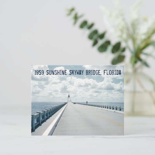 Sunshine Skyway Bridge St. Petersburg, Florida, 19 Briefkaart (Staand voorkant)
