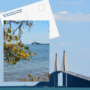 Sunshine Skyway Bridge St Petersburg Fotografisch Briefkaart