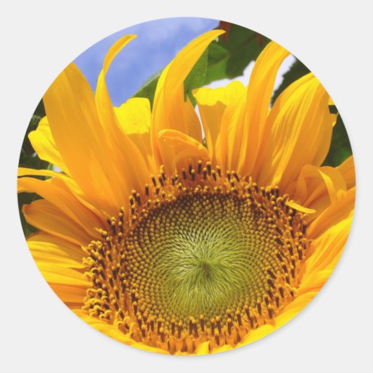 SUNSHINE SUNFLOWER-Stickers Ronde Sticker (Voorkant)