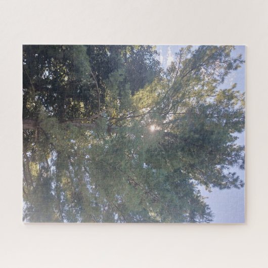 Sunshine Through Tree Jigzaag Puzzle Legpuzzel (Horizontaal)