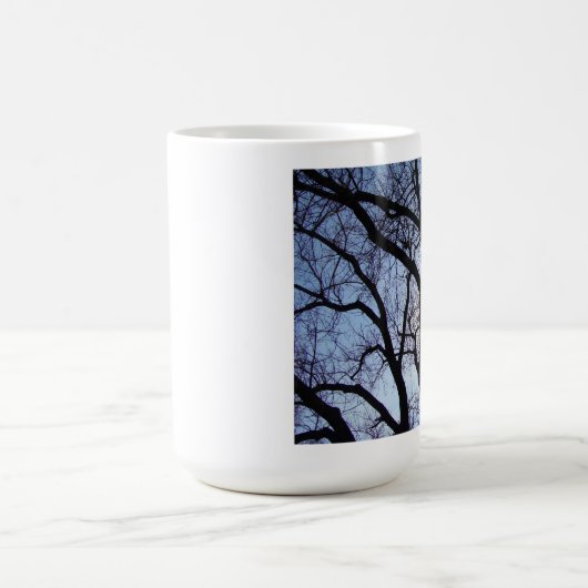 Sunshine Through Trees Mok (Center)