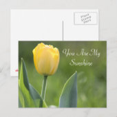 Sunshine Tulip Fotografie Briefkaart (Voorkant / Achterkant)