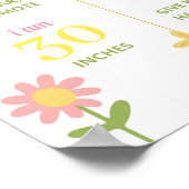 Sunshine Wildflower 1st Birthday Milestone Poster (Hoek)